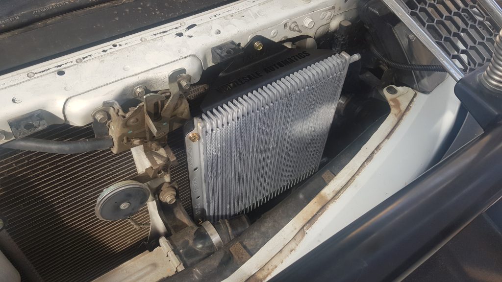 Image #2 from Adrian D'Ambrosio