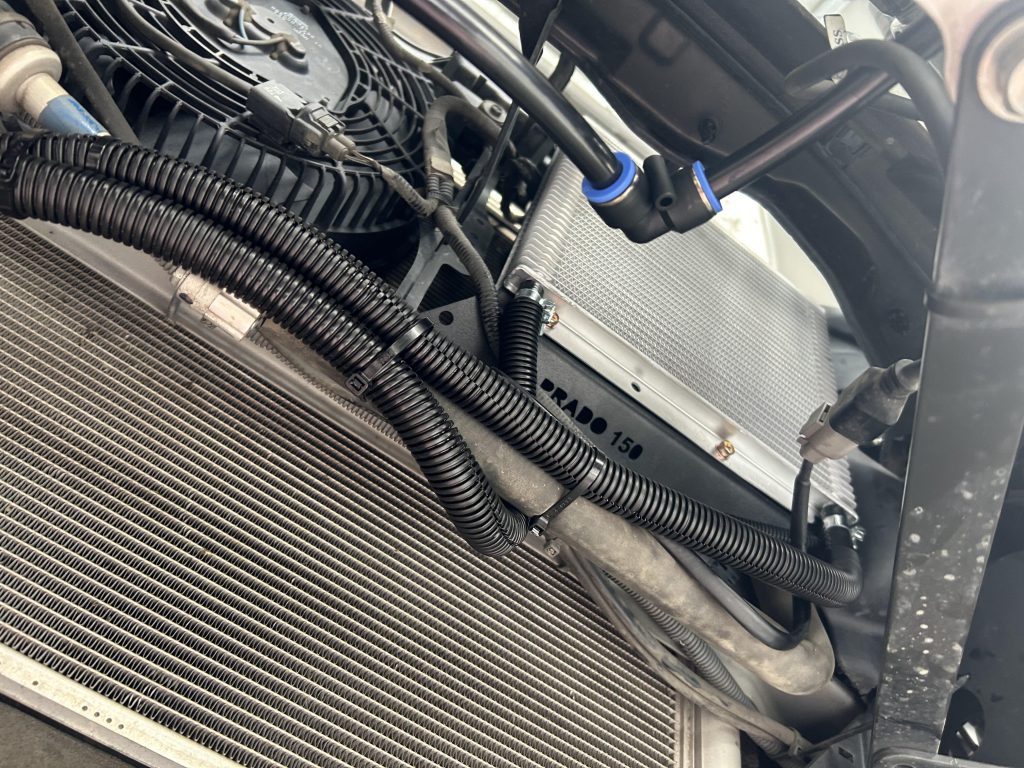 Image #3 from Mathew Kelly